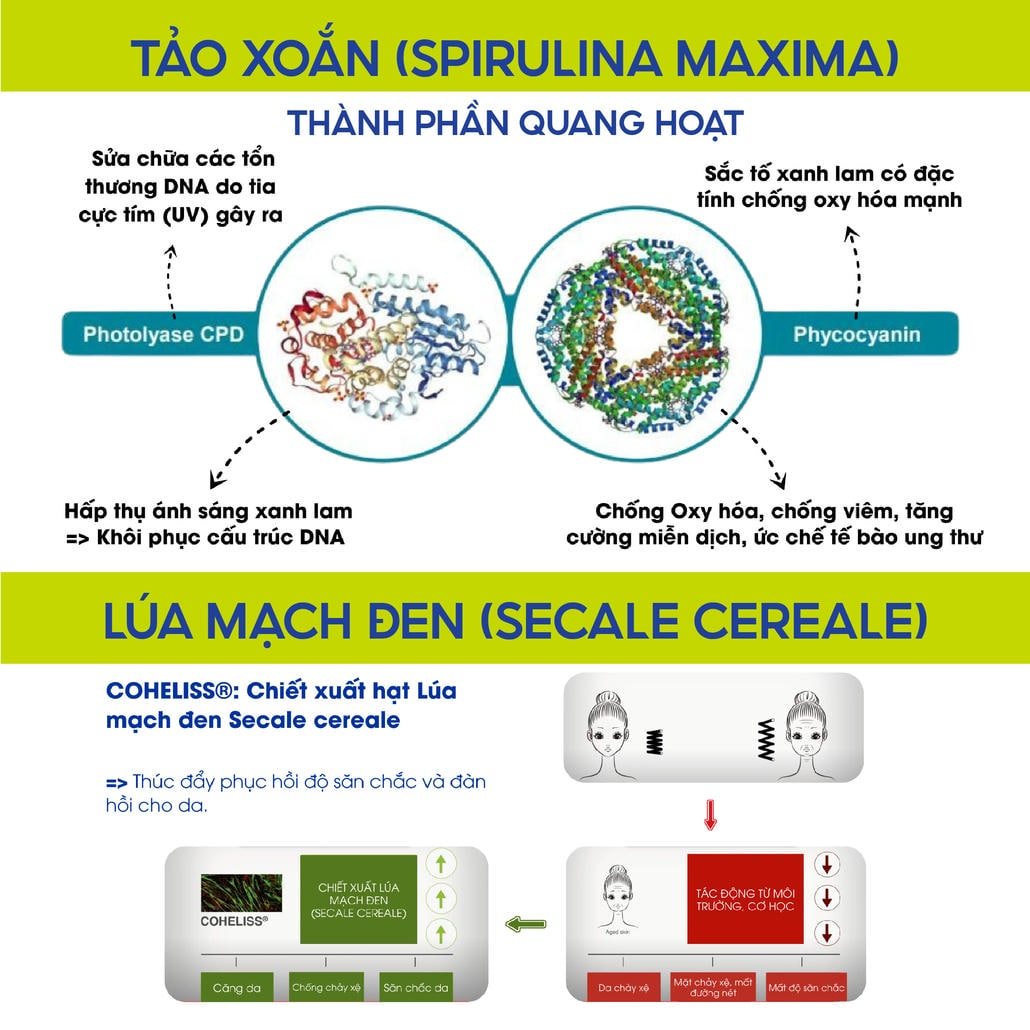 massage lotion phiten metax