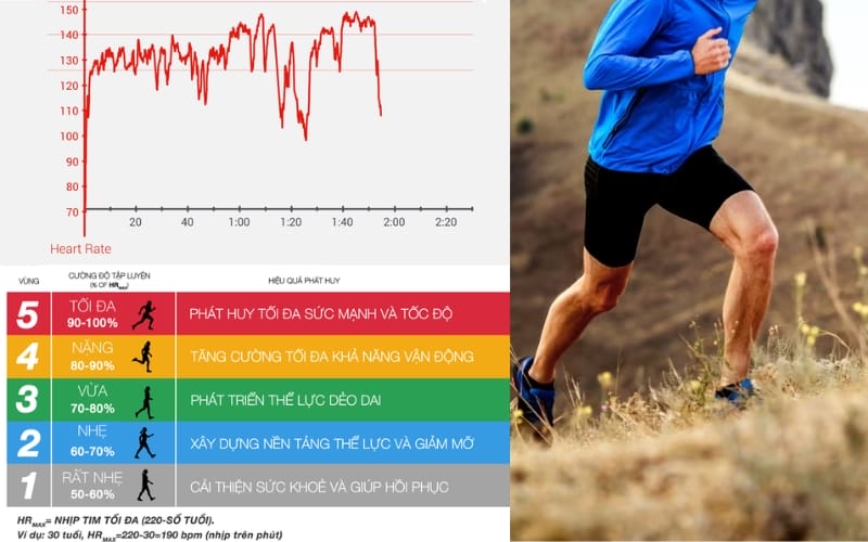 chạy tempo cải thiện sức bền tim mạch