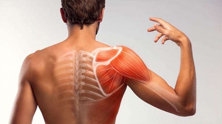 Bệnh khớp vai thường gặp ở người có tuổi